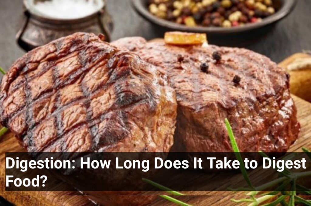 Digestion: How Long Does It Take to Digest Food?