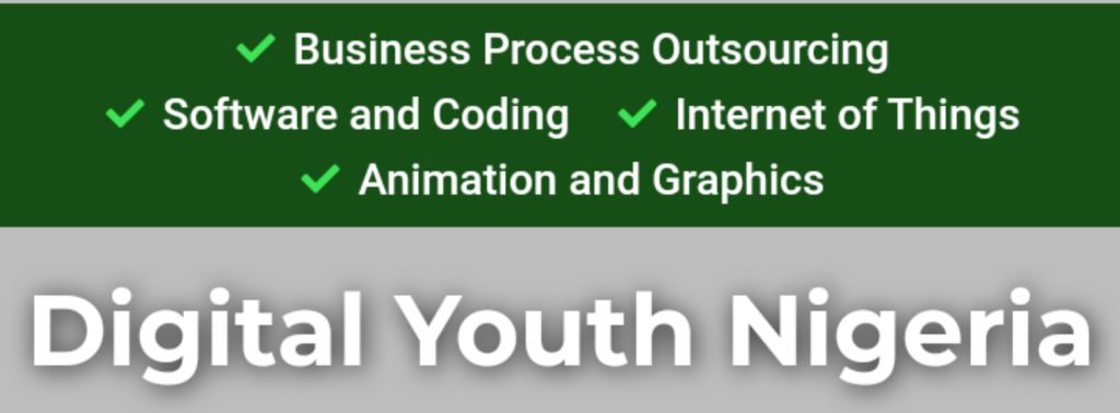 2024 Digital Youth Nigeria program