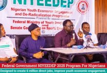 FG NIYEEDEP 2025 Program For Nigerians| Application Procedure