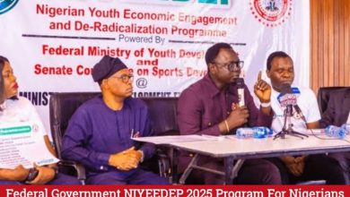 FG NIYEEDEP 2025 Program For Nigerians| Application Procedure