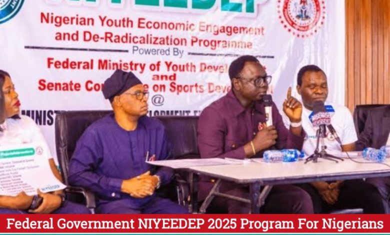 FG NIYEEDEP 2025 Program For Nigerians| Application Procedure